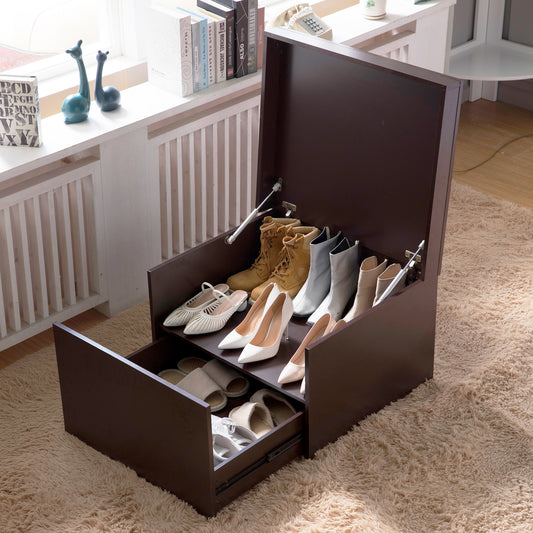 Wooden Storage Cabinet Shoe in Brown